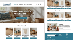 Company Website Shopnaclo